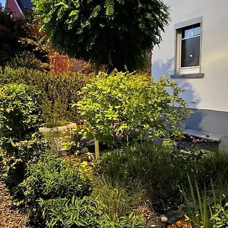 Wohnen Im Eigenen Haus Kelkheim