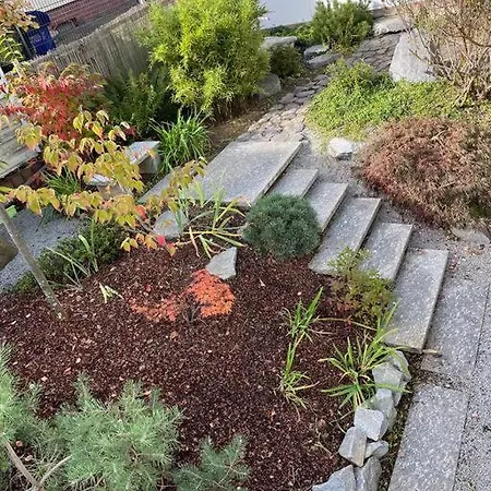 Wohnen Im Eigenen Haus