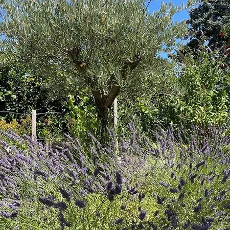 Apartamento Wohnen Im Eigenen Haus Kelkheim