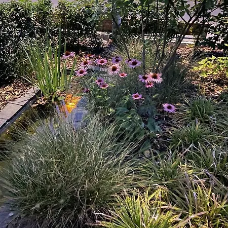 Wohnen Im Eigenen Haus