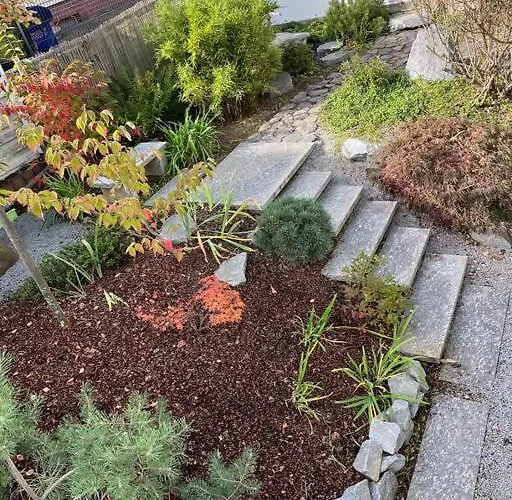 Wohnen Im Eigenen Haus