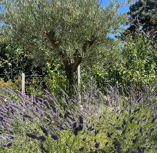 公寓 Wohnen Im Eigenen Haus 凯尔克海姆（陶努斯）