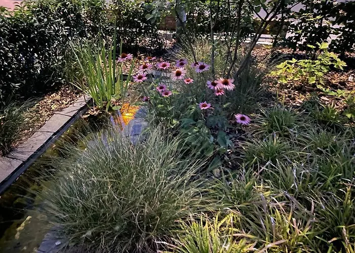 Wohnen Im Eigenen Haus